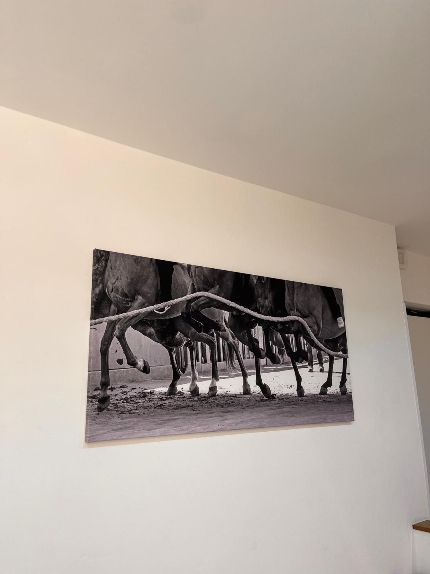La Casa Del Palio Apartment Siena Luaran gambar